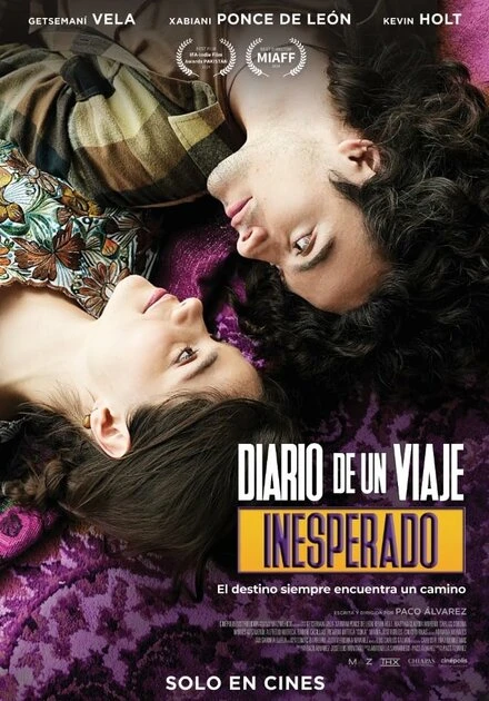 Постер Diario de un viaje inesperado