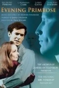 Постер Вечерний первоцвет 1966