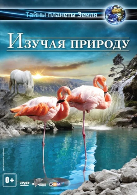 Постер Изучая природу 3D 2012