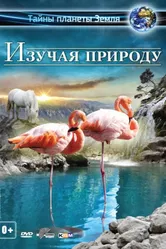 Изучая природу 3D 2012 постер