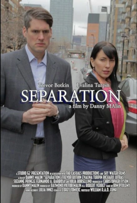 Постер Separation 2014