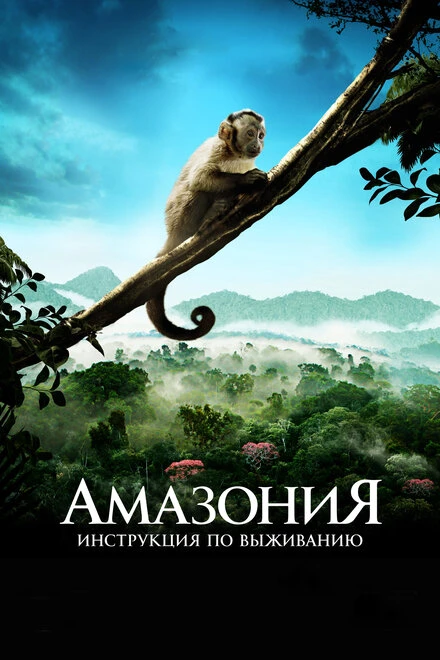 Постер Амазония: Инструкция по выживанию 2013