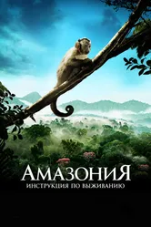Амазония: Инструкция по выживанию 2013 постер