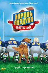 Король воздуха: Золотая лига 1998 постер