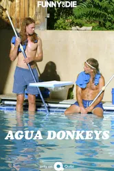 Agua Donkeys 2020 постер