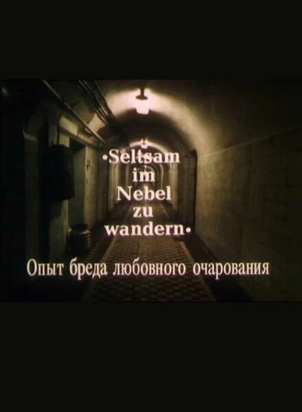 Постер Опыт бреда любовного очарования 1991