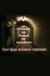 Опыт бреда любовного очарования 1991 постер