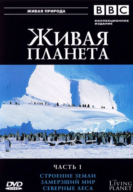 Постер BBC: Живая планета 1984