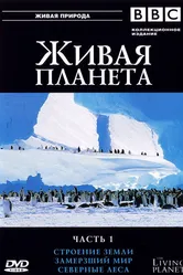 BBC: Живая планета 1984 постер