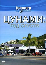 Постер Цунами: Год спустя 2005