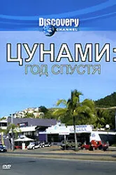 Цунами: Год спустя 2005 постер