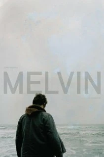 Постер Мелвин 2011