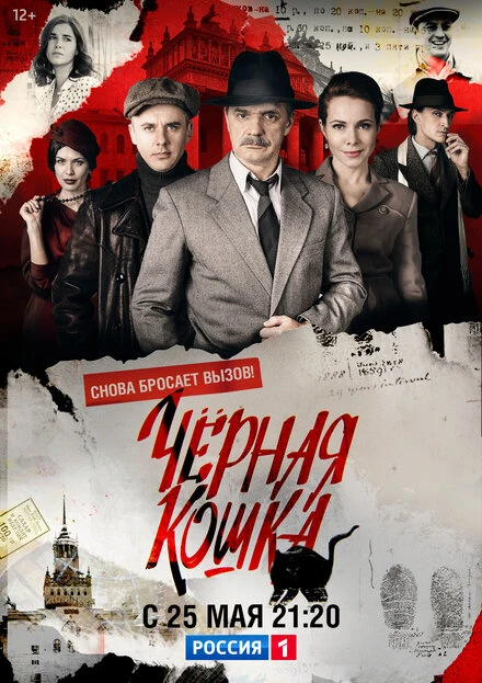 Постер Черная кошка 2016