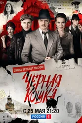 Черная кошка 2016 постер