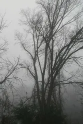 A Haunting in Arkansas постер