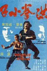 Ученики Шаолинь 1983 постер