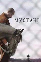 Мустанг 2017 постер