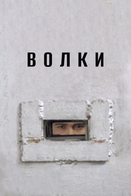 Постер Волки 2006