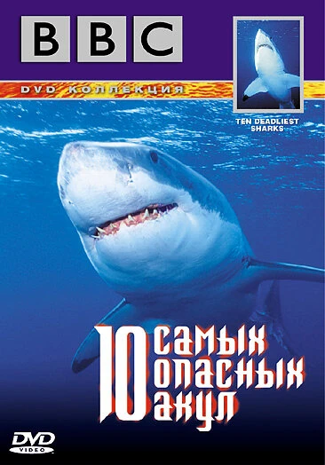 Постер BBC: 10 самых опасных акул 2001