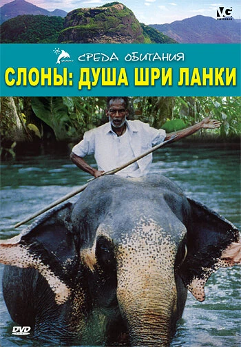 Постер Слоны: Душа Шри-Ланки 2000