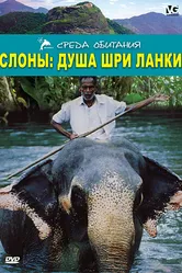 Слоны: Душа Шри-Ланки 2000 постер