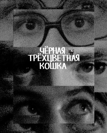 Постер Чёрная трёхцветная кошка, Россия