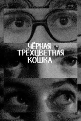 Чёрная трёхцветная кошка, Россия постер