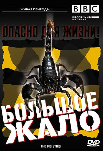Постер BBC: Большое жало 2004