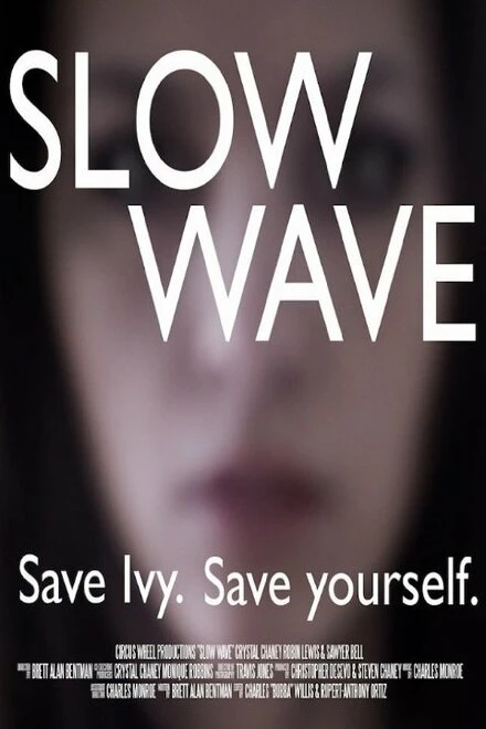 Постер Slow Wave 2014