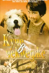Собака в ящике 1982 постер