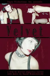 Velvet 2008 постер
