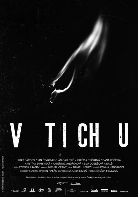 Постер В тишине 2014