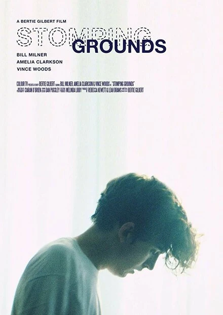 Постер Stomping Grounds 2018