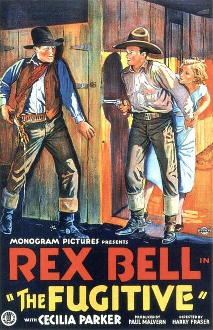 Постер The Fugitive 1933