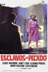 Американская мечта 1966 постер