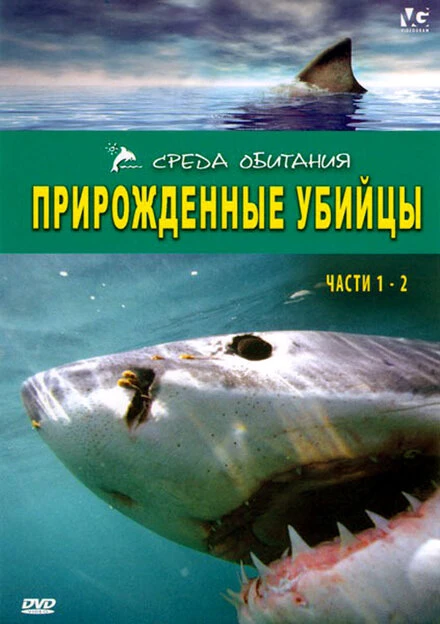 Постер Прирожденные убийцы 2008