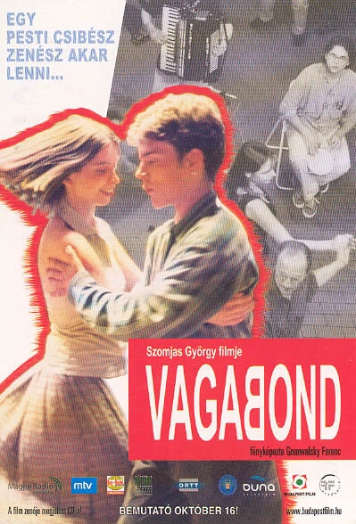 Постер Vagabond 2003
