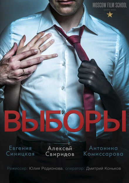 Постер Выборы 2015