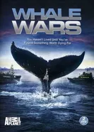 Китовые войны 2008, США постер
