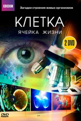 BBC: Клетка 2009 постер