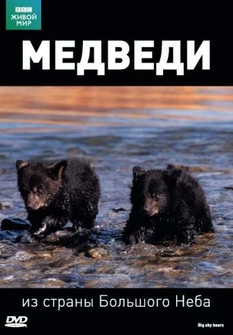 Постер BBC: Медведи из страны большого неба 2006