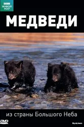 BBC: Медведи из страны большого неба 2006 постер