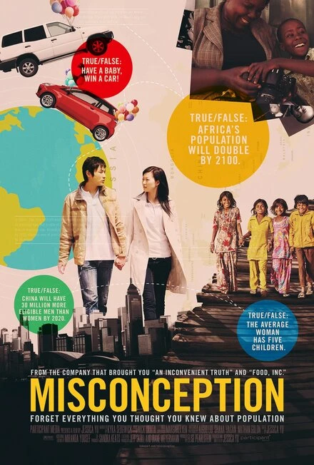 Постер Misconception 2014