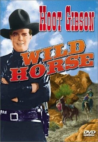 Постер Wild Horse