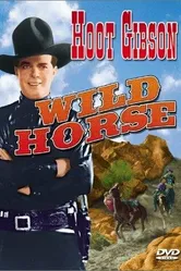 Wild Horse постер