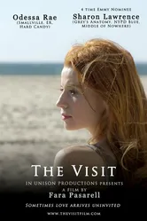 The Visit 2012 постер