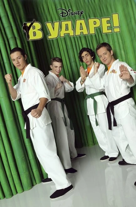 Постер В ударе 2011