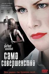 Само совершенство 2008 постер