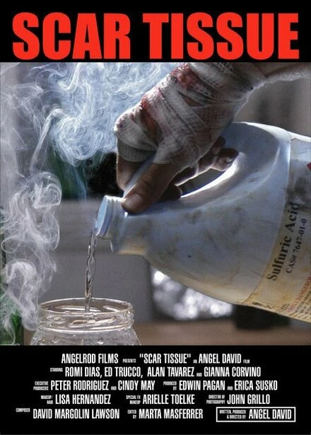 Постер Scar Tissue 2006