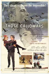 Ох, уж эти Кэллоуэйзы 1965 постер